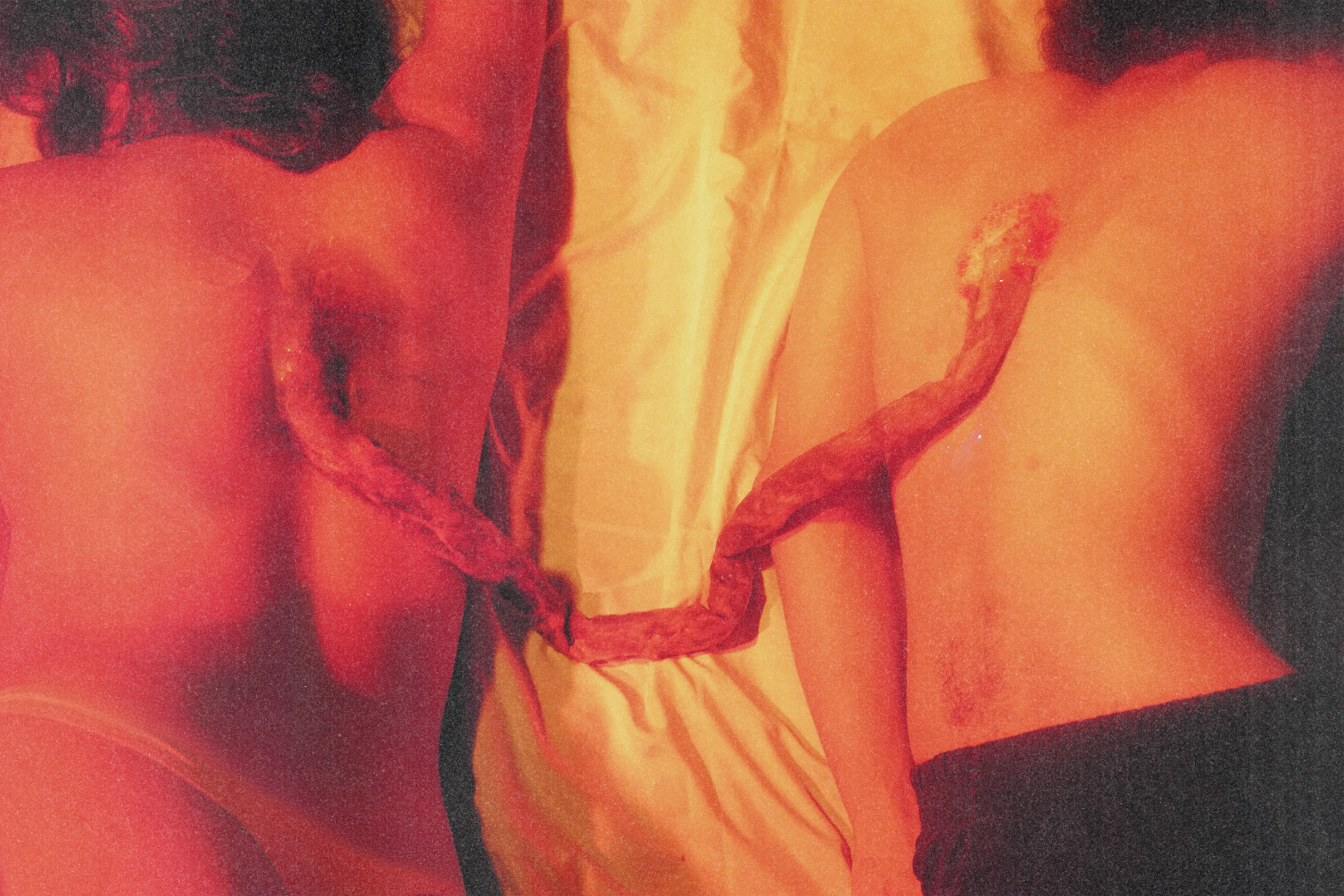 Fine Art 17