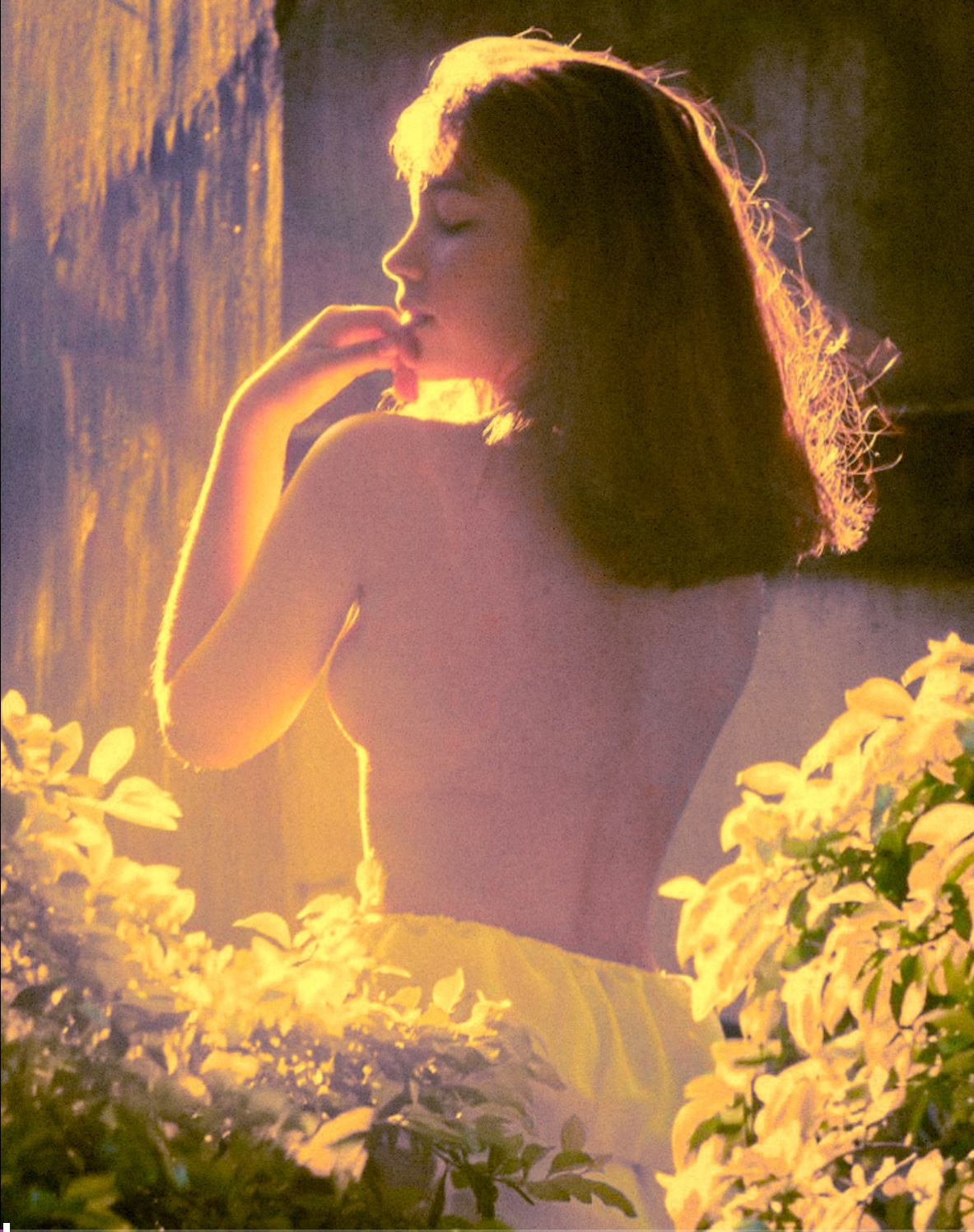 Fine Art 25