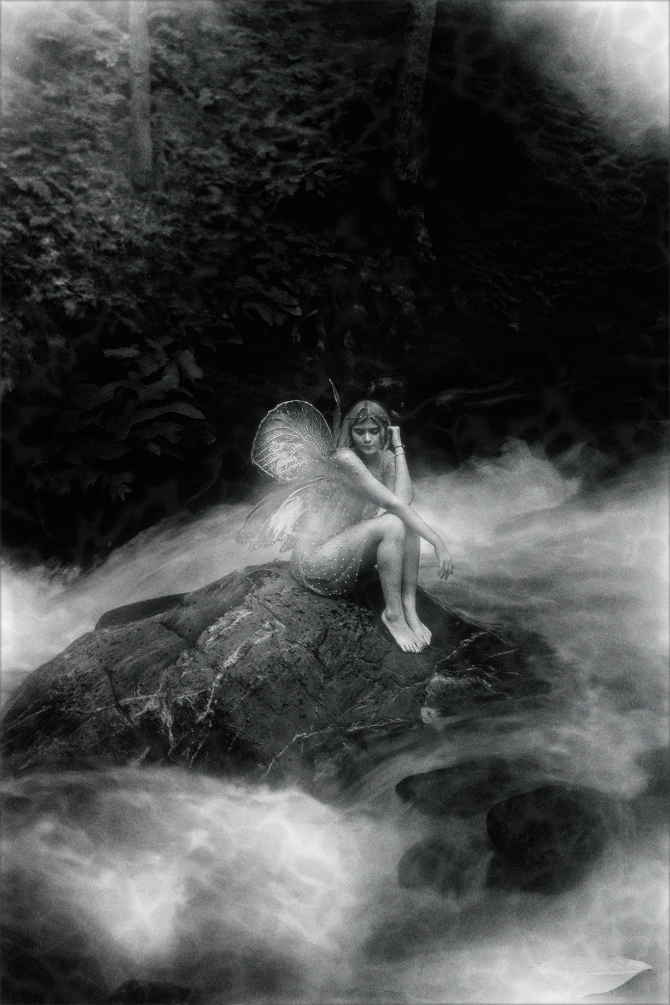 Fine Art 26