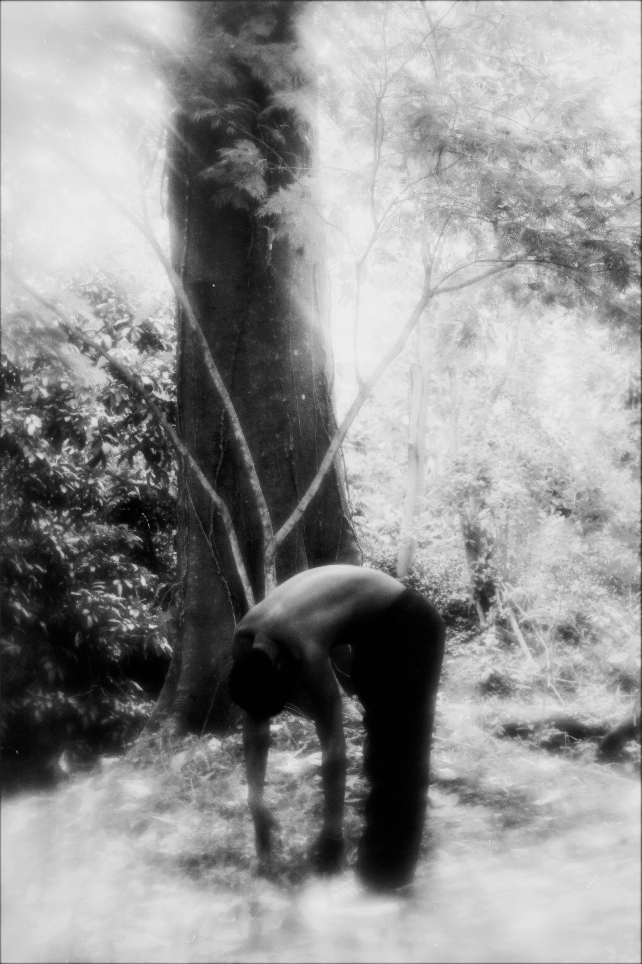 Fine Art 48